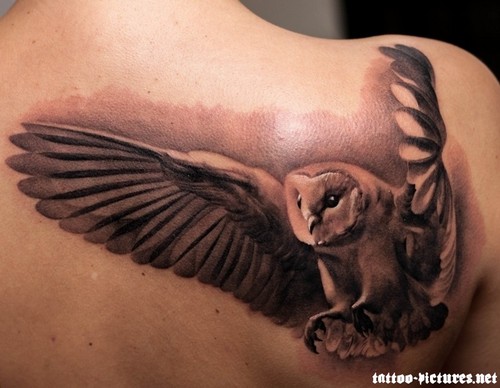 Flying Owl Tattoos